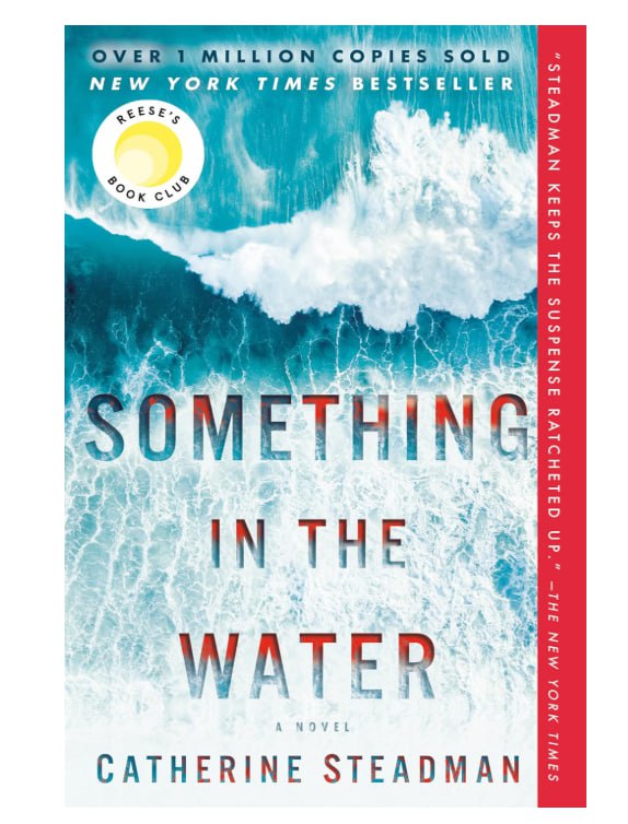 Something in the Water: Reese's Book Club: A Novel